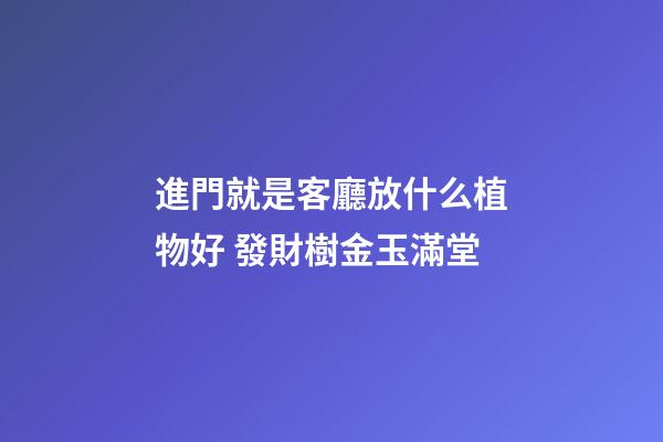進門就是客廳放什么植物好 發財樹金玉滿堂